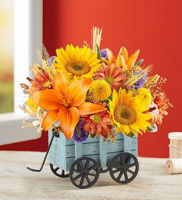 Harvest Hayride Arrangement