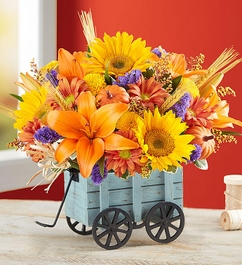 Harvest Hayride Fall