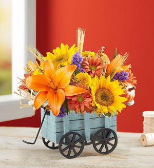 Harvest Hayride Fall Arrangement in Springfield, MO | FLOWERAMA #226 Harvest Hayride Fall Arrangement in Springfield, MO | FLOWERAMA #226