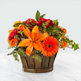 Harvest Memories Basket Floral Arrangement