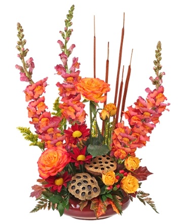 HARVEST MOON Fall Flowers in Solana Beach, CA | DEL MAR FLOWER CO