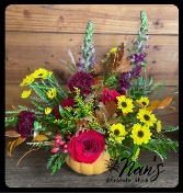 Harvest Party 