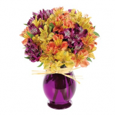 Harvest Peruvian Lily Bouquet Floral Arrangement
