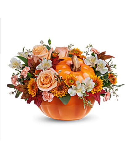 Harvest Pumpkin