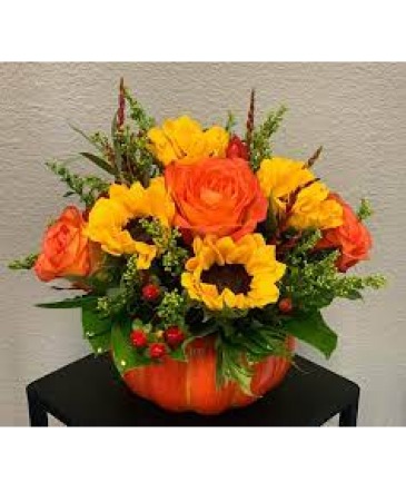 Harvest Pumpkin  in Glen Burnie, MD | FORGET ME NOT FLOWERS AND GIFTS