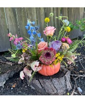 Harvest Pumpkin 