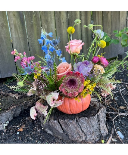 Harvest Pumpkin 