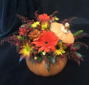 Harvest Pumpkin Arrangement in Exeter, NH | DOT'S FLOWER SHOP Harvest Pumpkin Arrangement in Exeter, NH | DOT'S FLOWER SHOP