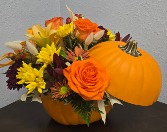 Harvest Pumpkin Arrangement Fall Fresh Flowers