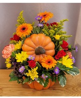 Harvest Pumpkin Container Arrangement