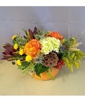 Harvest Pumpkin Keepsake Arrangement