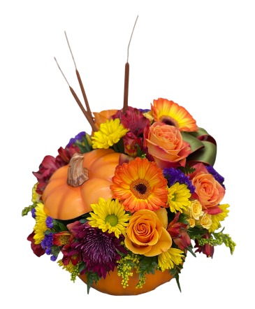 Harvest Pumpkin Orange Pumpkin in Sun City Center, FL | SUN CITY CENTER FLOWERS AND GIFTS