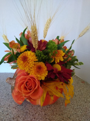Harvest Pumpkin Special fall flowers in ceramic pumpkin