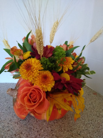 Harvest Pumpkin Special fall flowers in ceramic pumpkin in Pittsfield, MA | NOBLE'S FARM STAND AND FLOWER SHOP