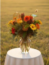 Harvest spectaular Any occasion