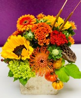 Harvest Splendor Floral Arrangement