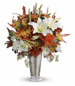 Harvest Splendor HFL107A