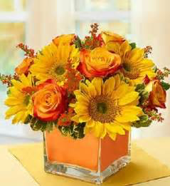 Harvest Sun Orange roses & Sunflowers
