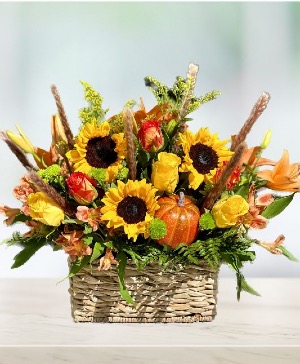 Harvest Sunbasket Same day flower delivery Bright Flowers Delivery