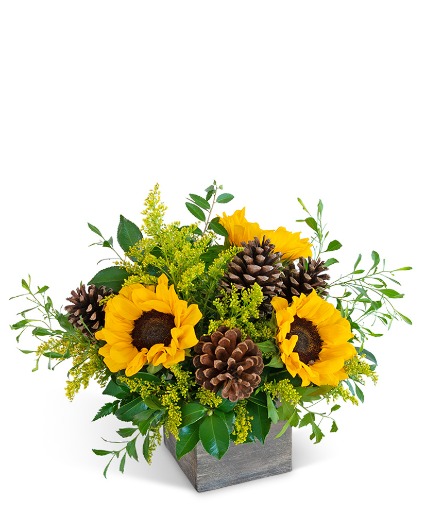 Harvest Sunburst Beauty Flower Arrangement