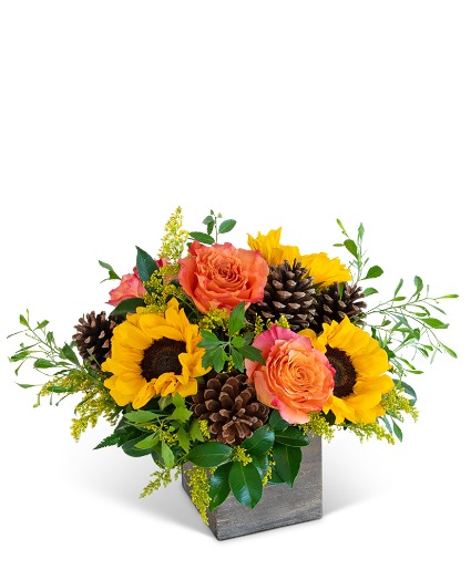 Harvest Sunburst Harmony Flower Arrangement