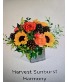Purchase this funeral home arrangement