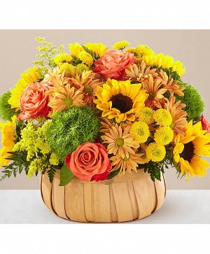 Harvest sunflower basket  