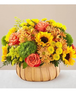 Harvest Sunflower  Basket