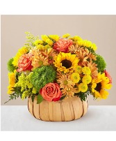 HARVEST SUNFLOWER BASKET