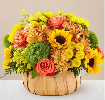 Harvest Sunflower Basket  in Frederick, MD | Maryland Florals