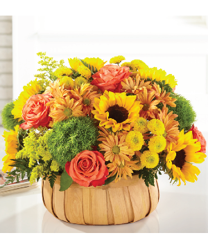 harvest sunflower basket 