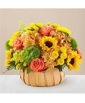 Harvest Sunflower Basket 