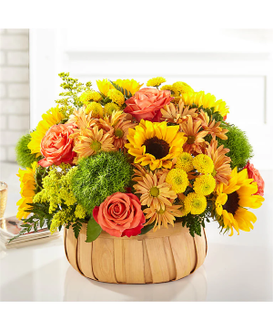 harvest sunflower basket basket