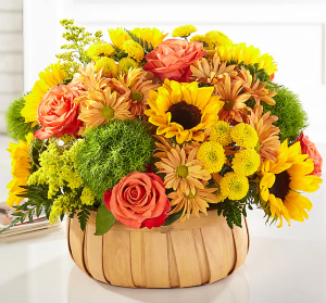 Harvest Sunflower Basket fall