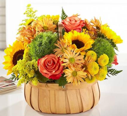 Harvest Sunflower Basket S5334S