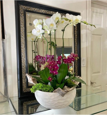 Orchids Arranged  