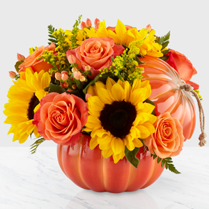 HARVEST TRADITION PUMPKIN