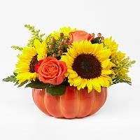 Harvest traditions ceramic pumpkin