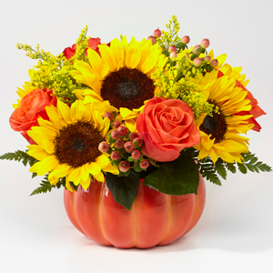 HARVEST TRADITIONS PUMPKIN FALL