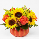 HARVEST TRADITIONS PUMPKIN 