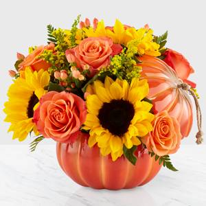 HARVEST TRADITIONS PUMPKIN FALL