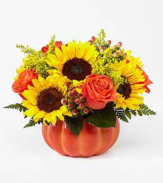 Harvest Traditions Pumpkin Fall
