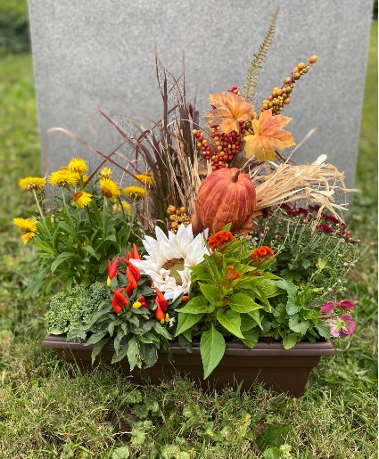 Harvest Window Box Placement