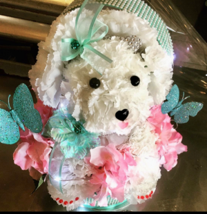 Hat box Puppy Custom designed in Ozone Park, NY | Heavenly Florist Hat box Puppy Custom designed in Ozone Park, NY | Heavenly Florist