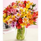 Have a Happy Day...Weekly Special! All Alstroemeria  starts @ $29.99