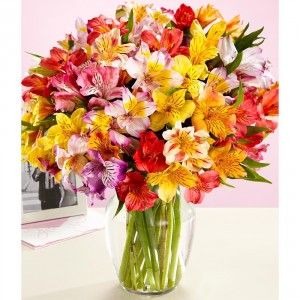 Have a Happy Day...Weekly Special! All Alstroemeria, Starts @ $33.00 in Gainesville, FL | PRANGE'S FLORIST