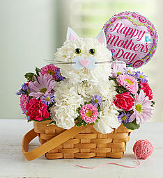 Have A Purrrrfect Mother's Day! Floral Arrangement in Winston Salem, NC | RAE'S NORTH POINT FLORIST INC. Have A Purrrrfect Mother's Day! Floral Arrangement in Winston Salem, NC | RAE'S NORTH POINT FLORIST INC.