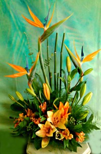 Hawaiian Holiday Tropical Arrangement in Fair Lawn, NJ | DIETCH'S FLORIST Hawaiian Holiday Tropical Arrangement in Fair Lawn, NJ | DIETCH'S FLORIST