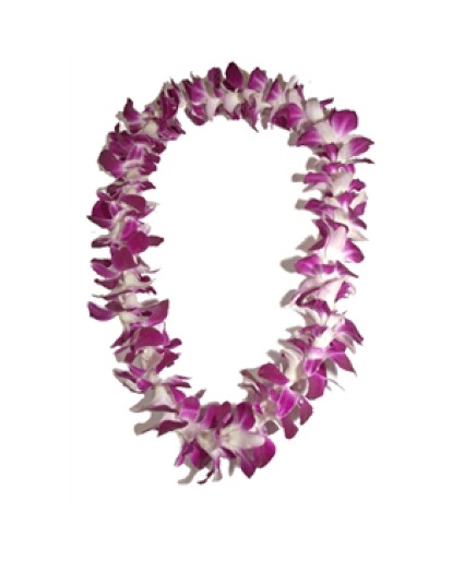 Hawaiian Lei- Pre Order- Available 4/29 Flowers
