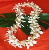 Hawaiian Lei- White  Local delivery/pickup only